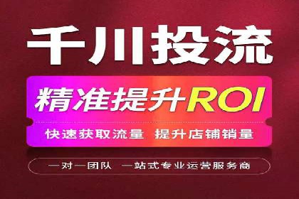 百度竞价广告投放策略：案例分析及效果评估